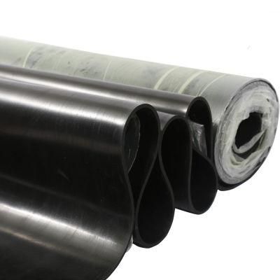 Fluoro Rubber Sheet FKM Acid and Alkali Resistant Rubber Sheet