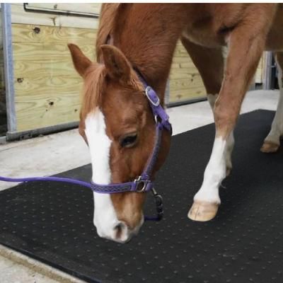 Anti Slip Horse Stable Rubber Mat