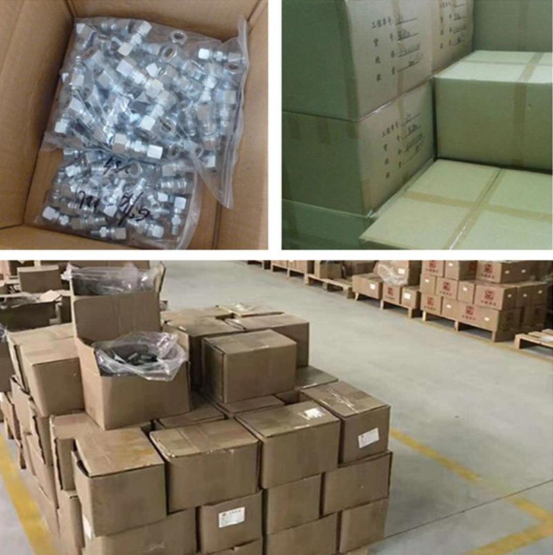 Customized Hose Assembly High Pressure Hose with Fitting Both End