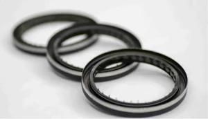 Oil Resistant NBR Rubber Oil Seal for Hydraulic Engine