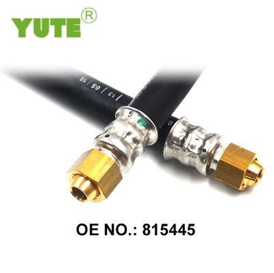 Multi-Size Truck Brake System SAE J1402 Air Hose Assembly