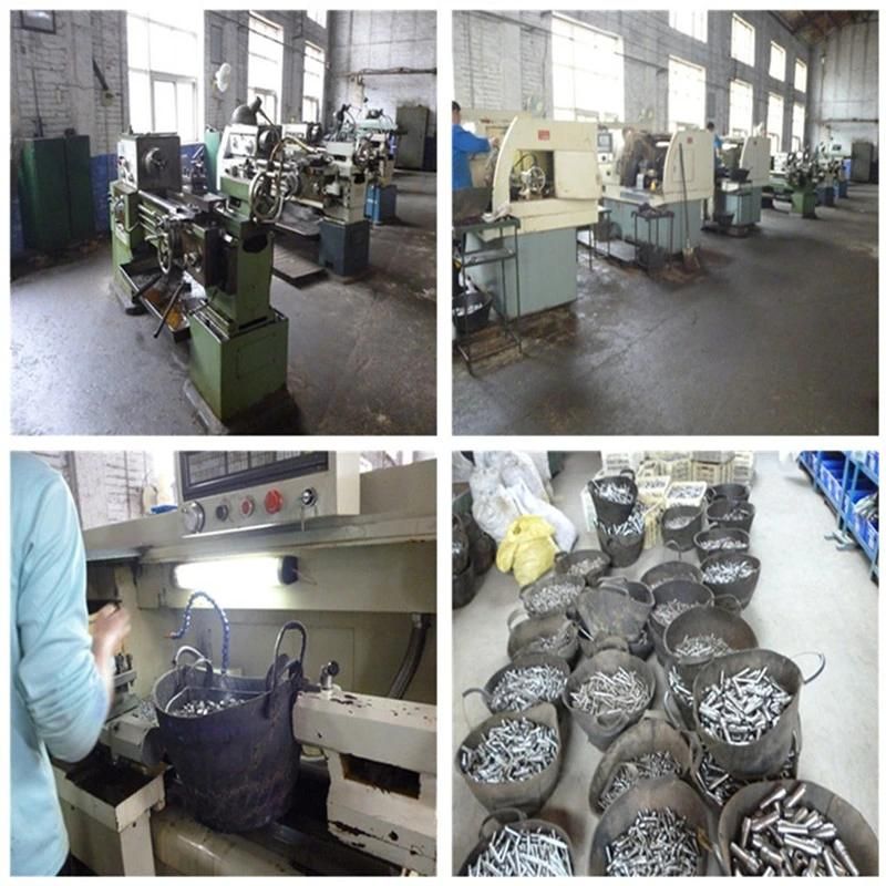 Hydraulic Hose Assembly Rubber Hose with Fitting on Both End