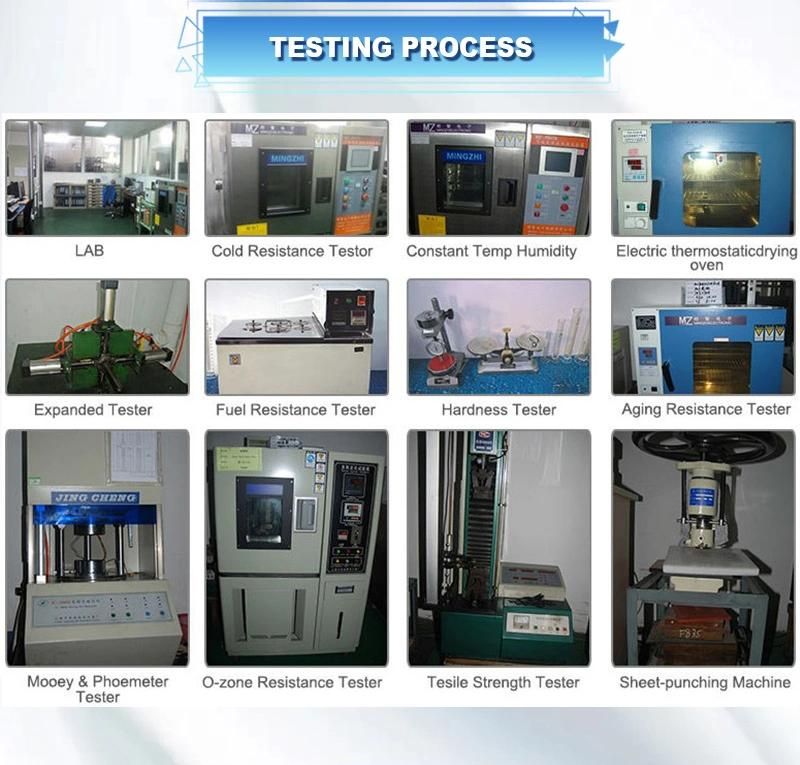 Standard/Customized Static and Dynamic Seal Rubber O Ring