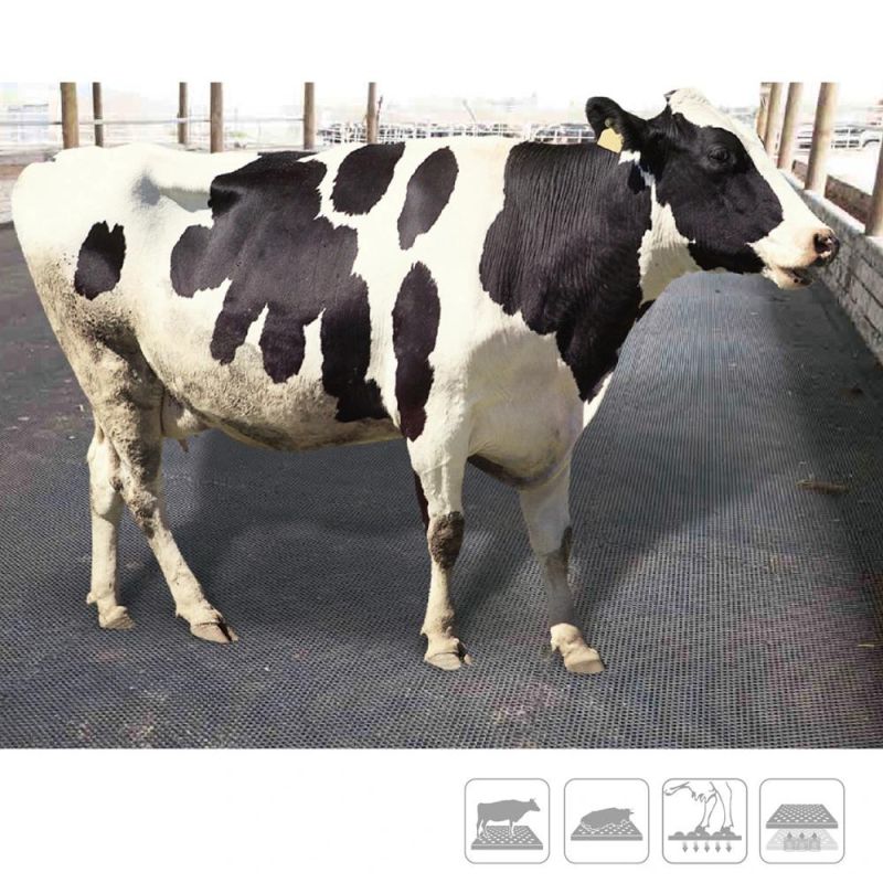 Hot Sale Livestock Cow Stall Trailer Rubber Mat Horse Stall Rubber Floor