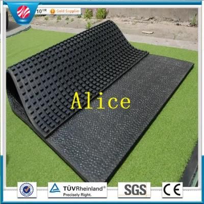 Stable Rubber Mat/Cow Horse Rubber Matting for Sale
