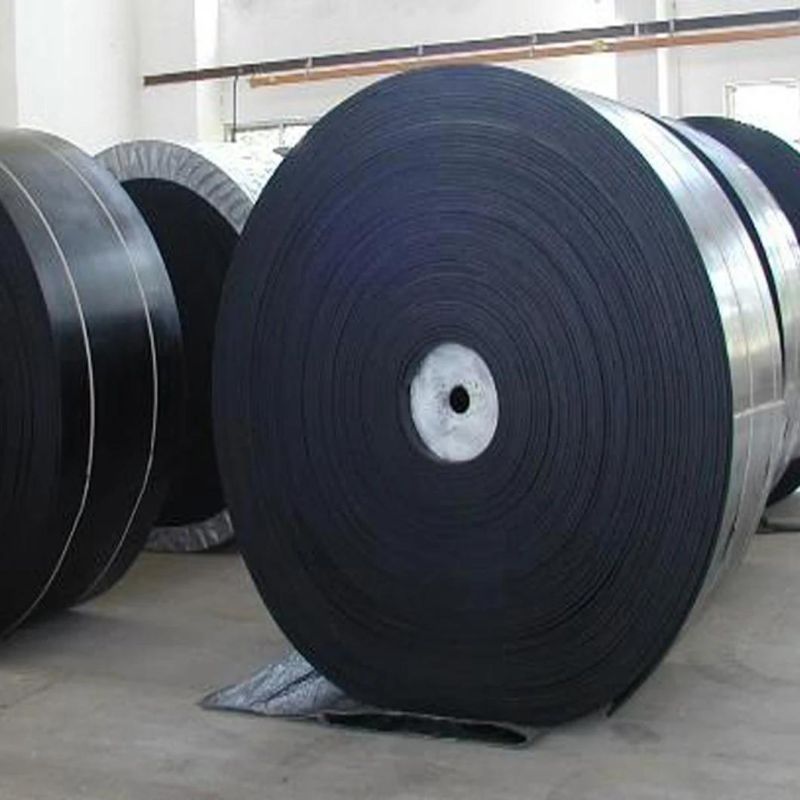 Nn Conveyor Belt