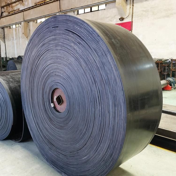 Burning Resistant Wire Mesh Conveyor Belt (SN630-SN1200)