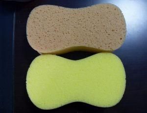 Sponge Sheet