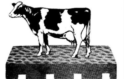 Rubber Horse Stall Mats for Sale Horse Rubber Matting