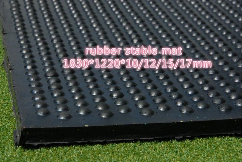 Fitness and Gym Room Used Rubber Mat