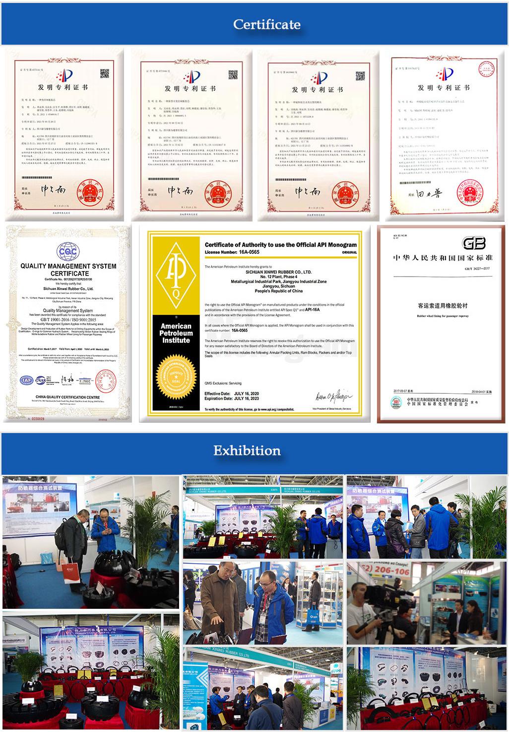 Drilling Equipment Bop Parts API 16A RAM Bop Fz35-70 RAM Rubber Seal VBR Seals