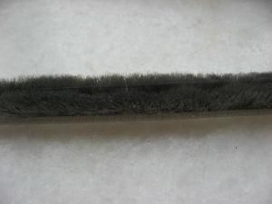 Weather Strip with Fin