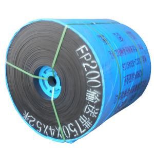 Polyester Conveyor Belt