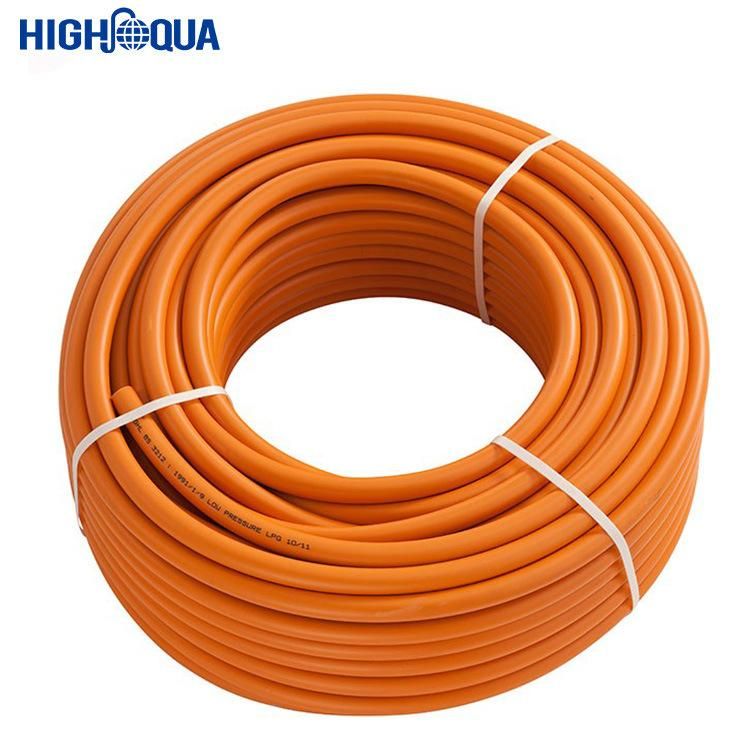 Hot Sell in Europe En559 Standard Gas LPG Hose