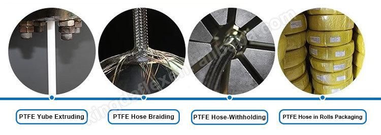 PTFE Ss Nylon Hose Auto Motorcycle High Pressure Hydraulic Assembly An8 PTFE Oil Cooler Hose Line