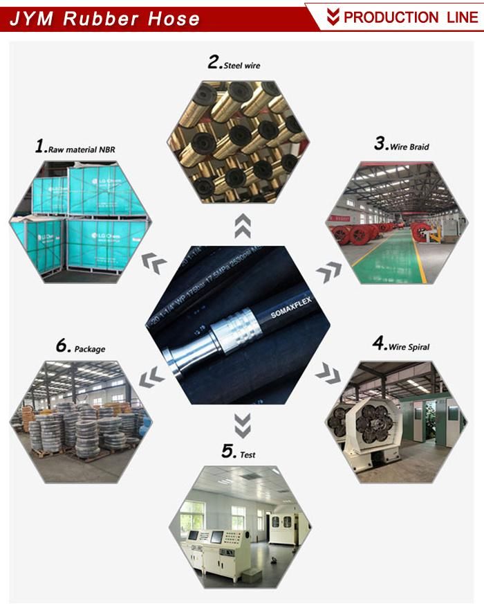 SAE100 R14/ PTFE Lined Hydraulic Hoses