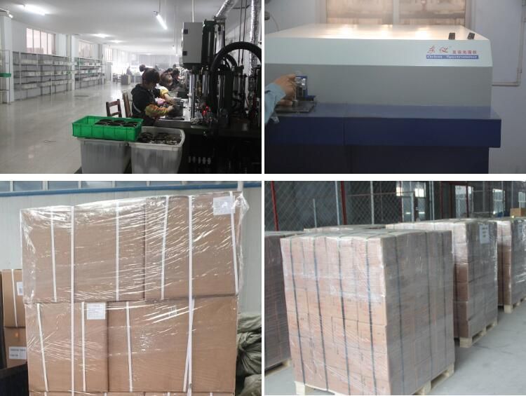 Quick Coupling Camlock Type a/B/C/D/E/F/DC/Dp