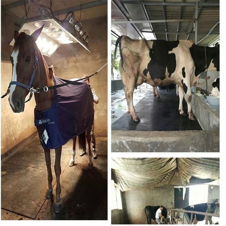 Factory Supply Rubber Mat Horse Cow Stable Rubber Mat Rubber Stable Mating for Sale