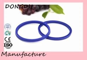 China High-End Tc Lips Type Oil Seal Rubber Skeleton Oil Seal for Truck