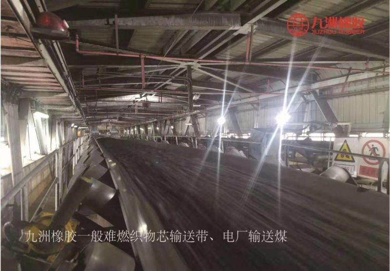 Textile Heat Resistant Conveyor Belt