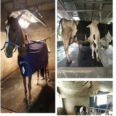 Best Direct Source 6-25mm Anti-Skidding Rubber Flooring Horse Stall Rubber Mat for Animal