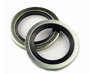 Stainless Steel Rubber NBR Bonded Seals/Bonded Seal Washer
