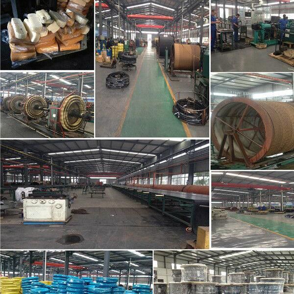 High Quality High Pressure Hydraulic Hose En856 4sh
