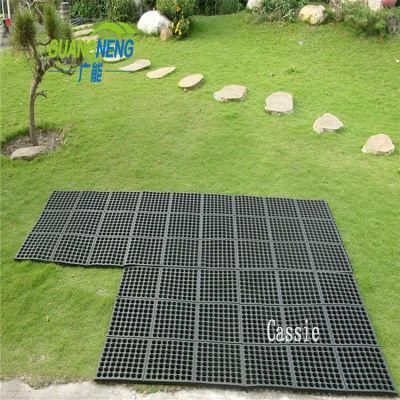 Swimming/Grass Use Interlocking Drainage Mat