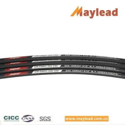 Wire Braid Hydraulic Hose En 853 1sn 1st for Tire Press Machine