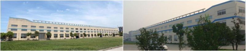 Classic V Belt/Agricultural/Industrial V Belt/Cogged/Wrapped Belt (A/B/C /D)
