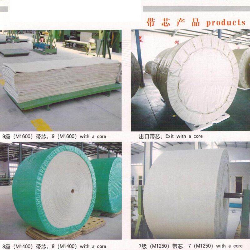 Ply Cotton_Nylon Belt