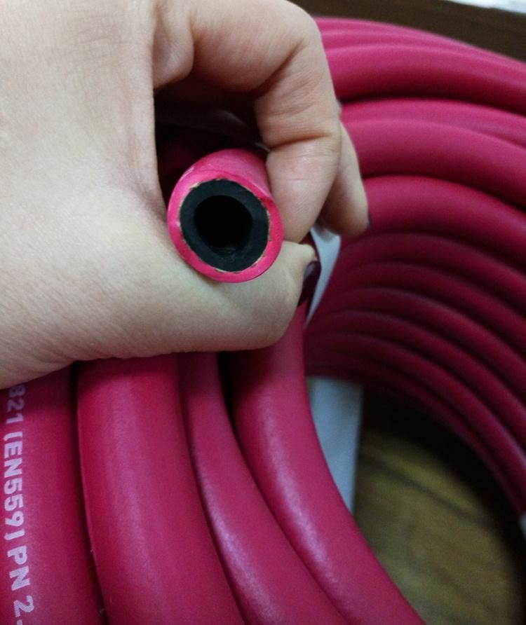 China Hose Rubber Supply Welding Gas Flex Twin Line Hydraulic Hose
