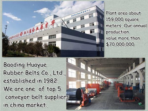 Quality Assured Cotton Canvas Rubber Coveyor Belt, Cc 56 Belt Conveyor