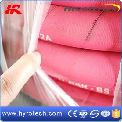 Steam Hose