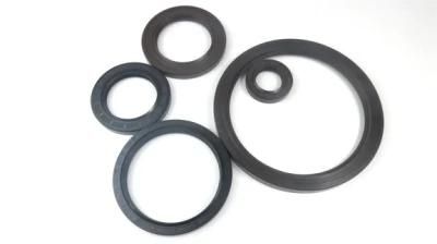 FKM Oil Seal for Heavy Truck