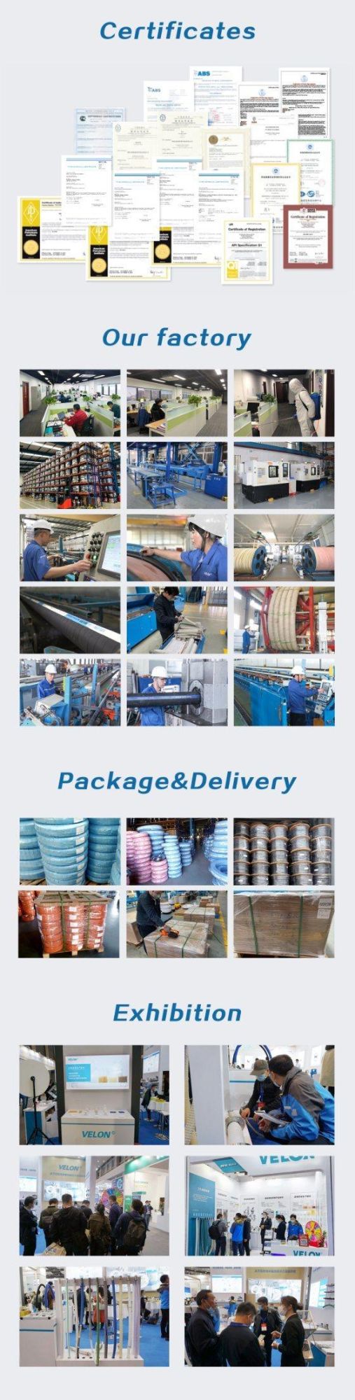 FDA Sanitary Multipurpose High Pressure Hose for Food Oil