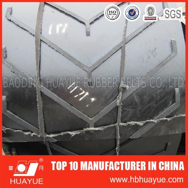 Pattern & Chevron Conveyor Belt (EP100~EP400)