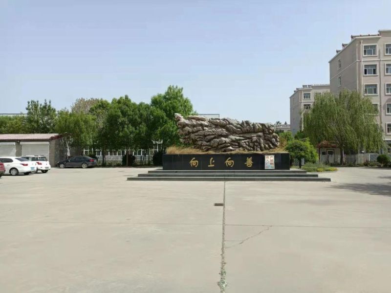 Small Rubber Vibrating Pad for Concrete Structure