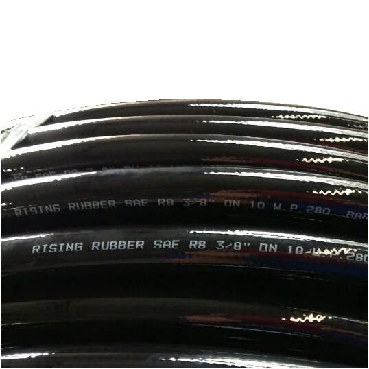 SAE DIN Standard Hydraulic High Pressure Paint Hose