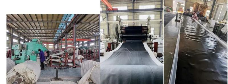 Food Grade Skirt Rubber Belt Conveyor Inclined Angle
