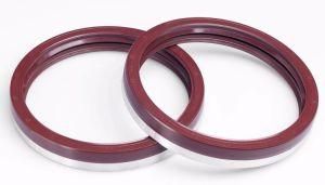 Combination Oil Seal/Axle Shaft Seal Ring for Steyr Truck Wg9112340114