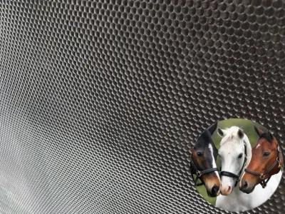 Competitive Price East Clean Anti-Slip Cow Stable Mats for Horse/Pig/Cow