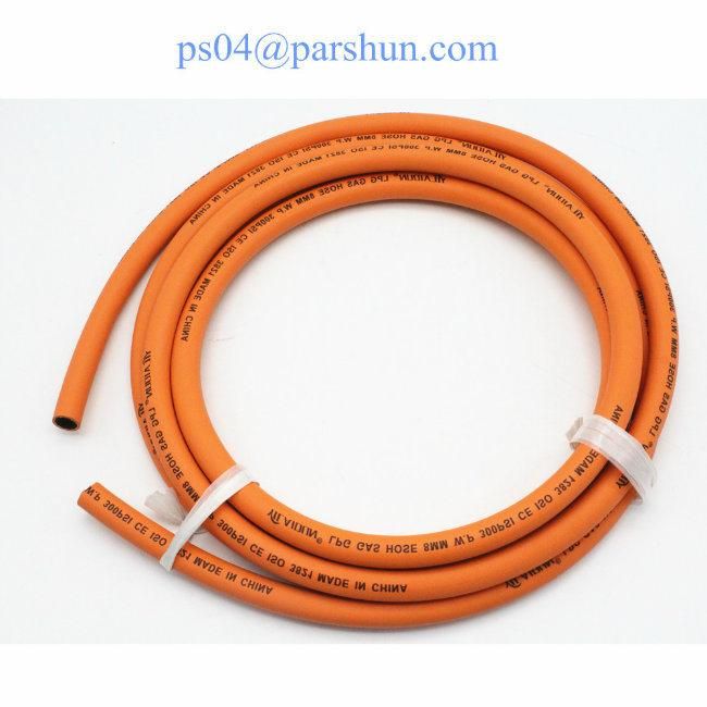 ISO9001 Household Fuel Rubber LPG Gas Hose/Propane Hose Manufacturer