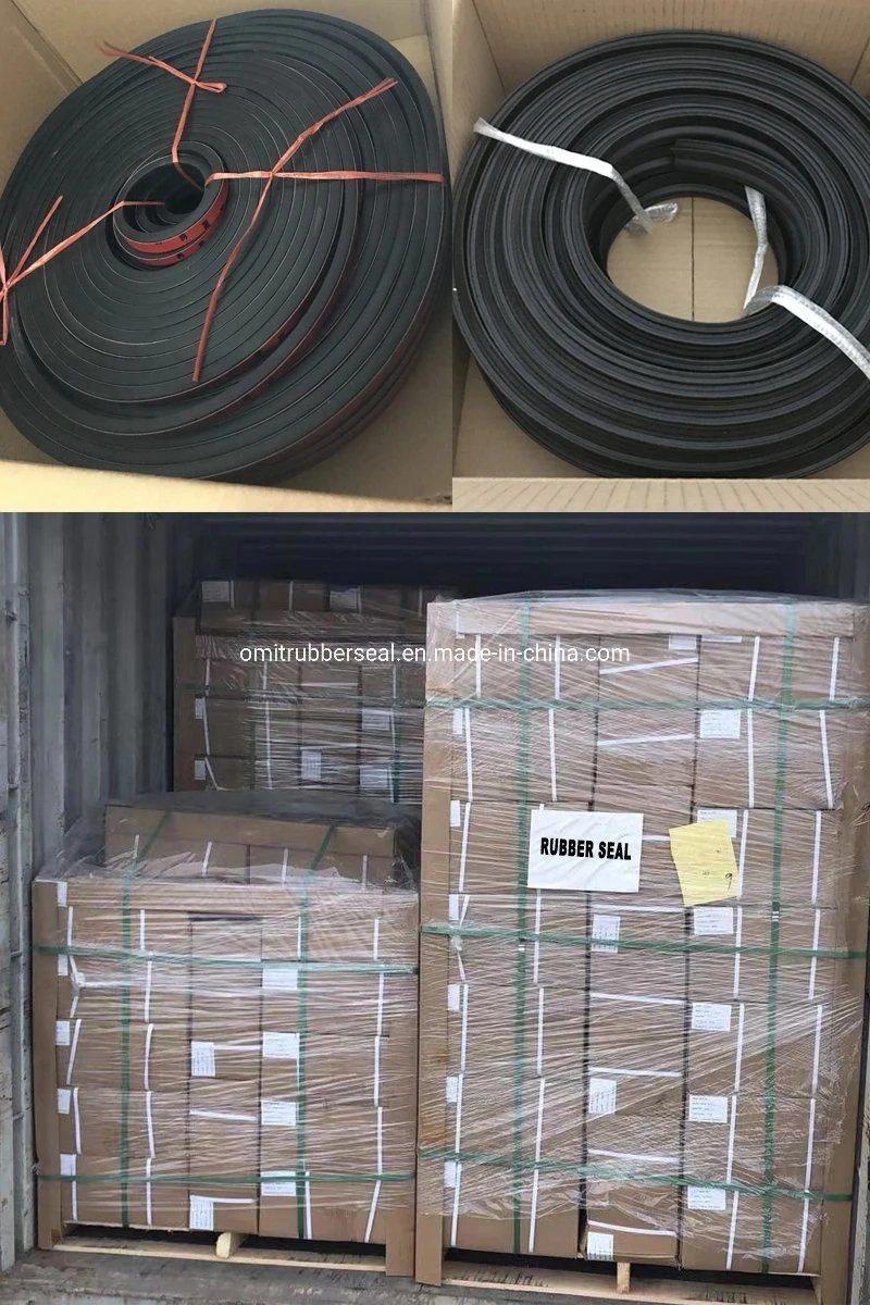 Waterproof Car Door Co-Extrusion Rubber Weather Seal Strip
