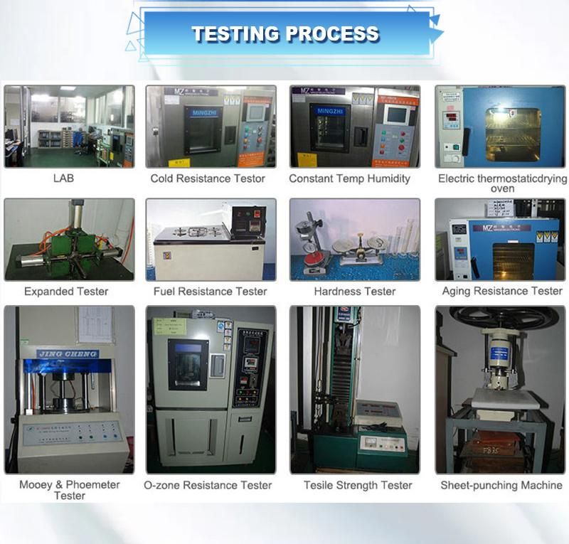 Pressure Resistant and Wear Resistant Double Lip Rubber Oil Seal/Rubber Product /Seal Ring