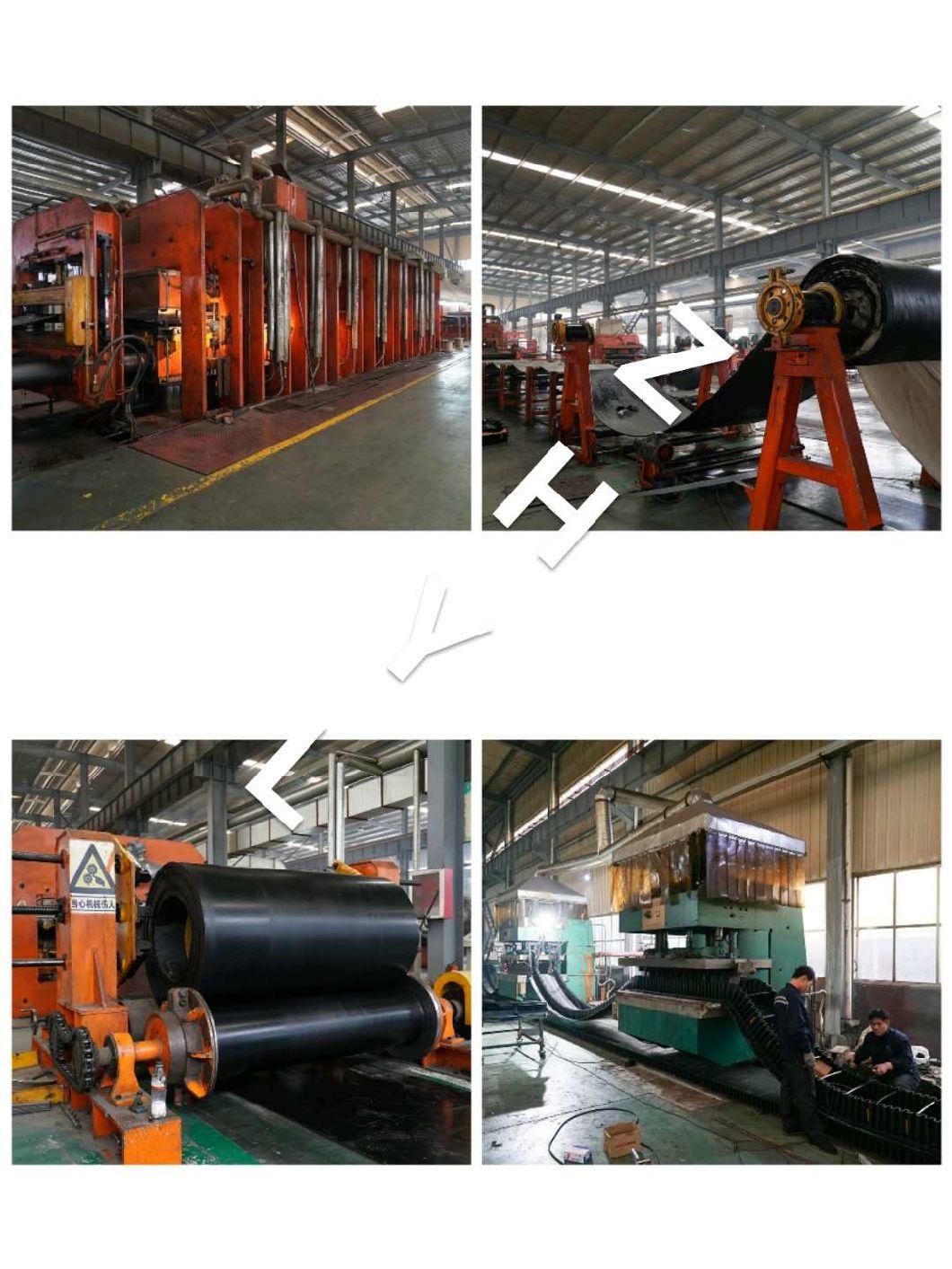 Cut Edge Pure Nylon Rubber Conveyor Belting for Cement Industry