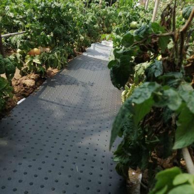 High Quality Outdoor Vegetable/Flower Weed Barrier Landscape Garden Muddy Area Rubber Mat