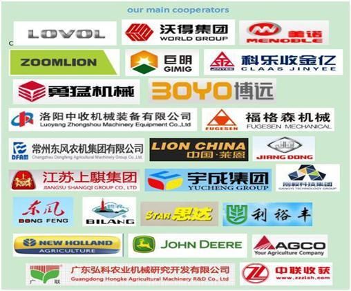 Classic V Belt/Agricultural/Industrial V Belt/Cogged/Wrapped Belt (A/B/C /D)