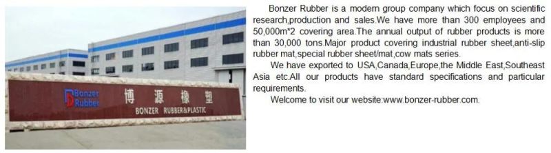 Food Grade Skirt Rubber Belt Conveyor Inclined Angle