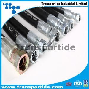 High Pressure Hydraulic Hoses Assembly/Hydraulic Hoses with Ferrules
